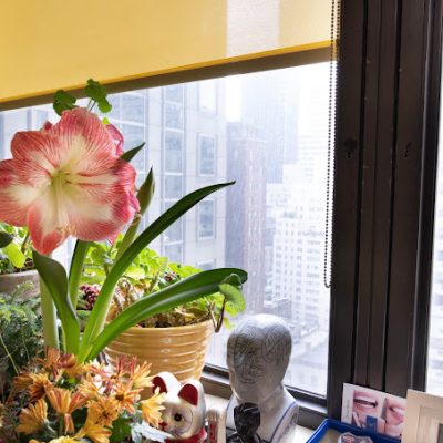 office interior - Contemporary & Esthetic Dentistry